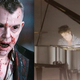 Illustration for article titled David Slade Abandons Bloody Horror For Bedazzled Boytoys